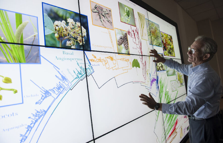 Bitkilerin Sınıflandırılması