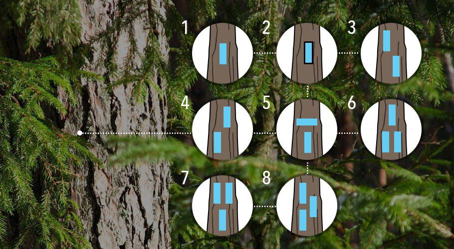 blue-trails-trekking