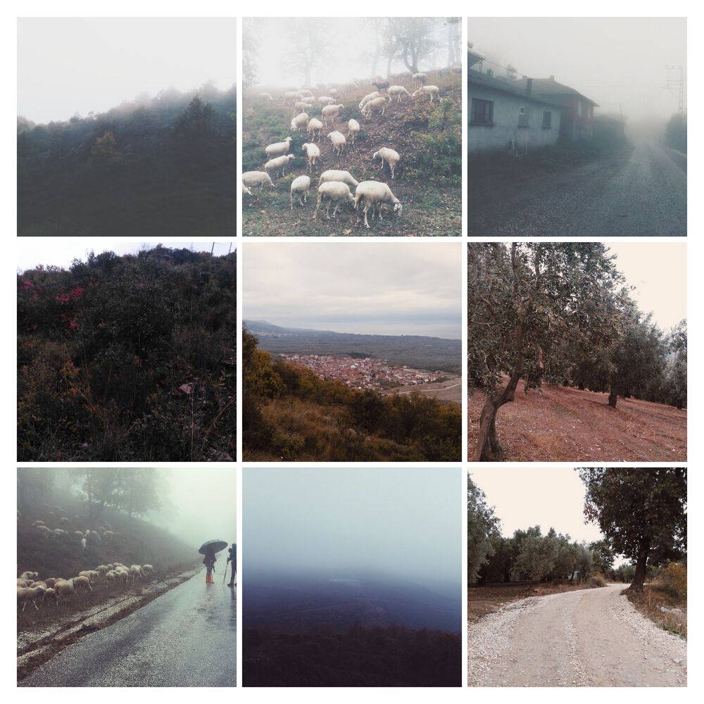 Yalova Doğa Yürüyüşü Parkurları: Tevfikiye – Keramet