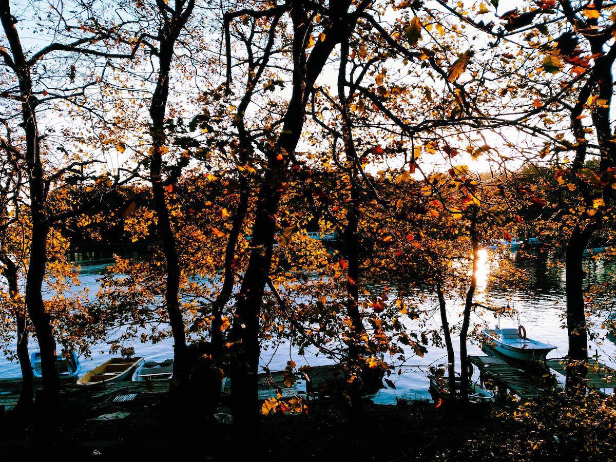 Sinop Merkez – Akliman – Hamsilos – İnceburun – Sarıkum Köyü