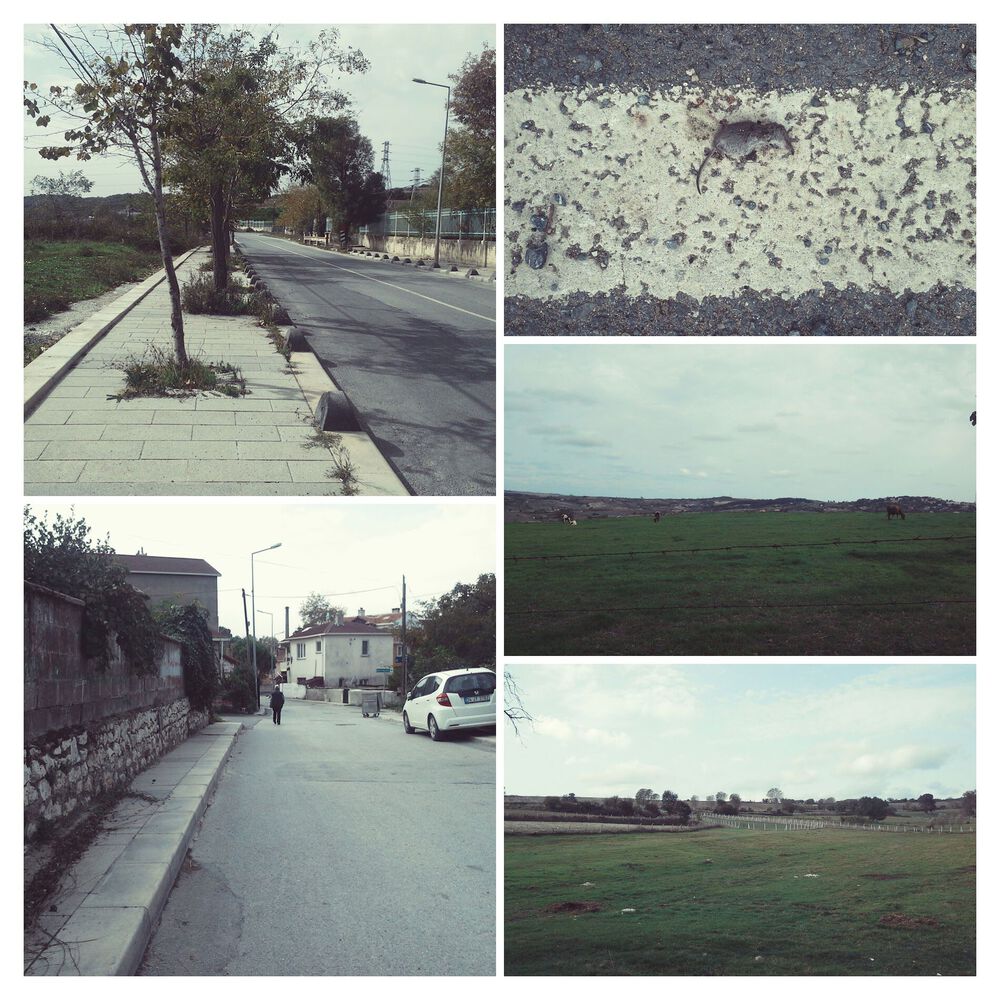 İki Deniz Arası Rotası 1. Etap: Yeniköy-Baklalı