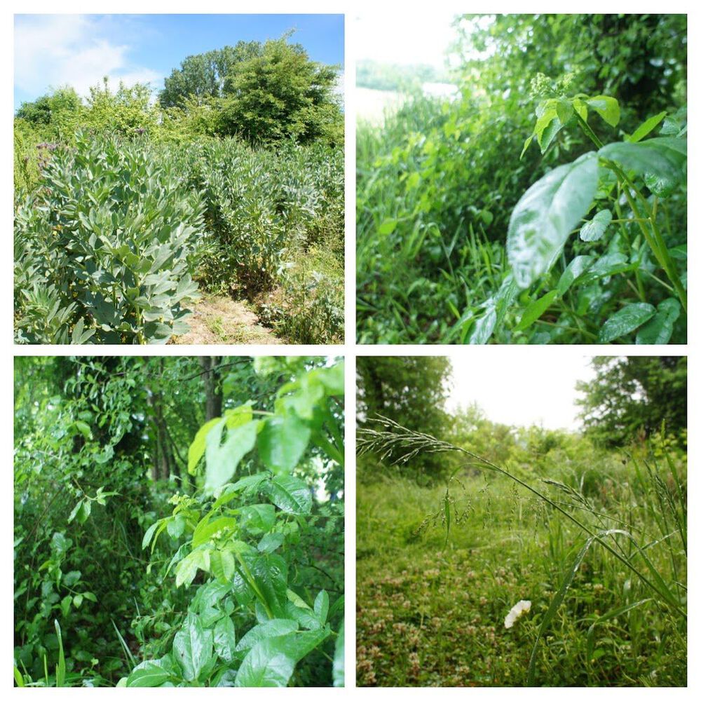 Permakamp, Beykoz, İstanbul