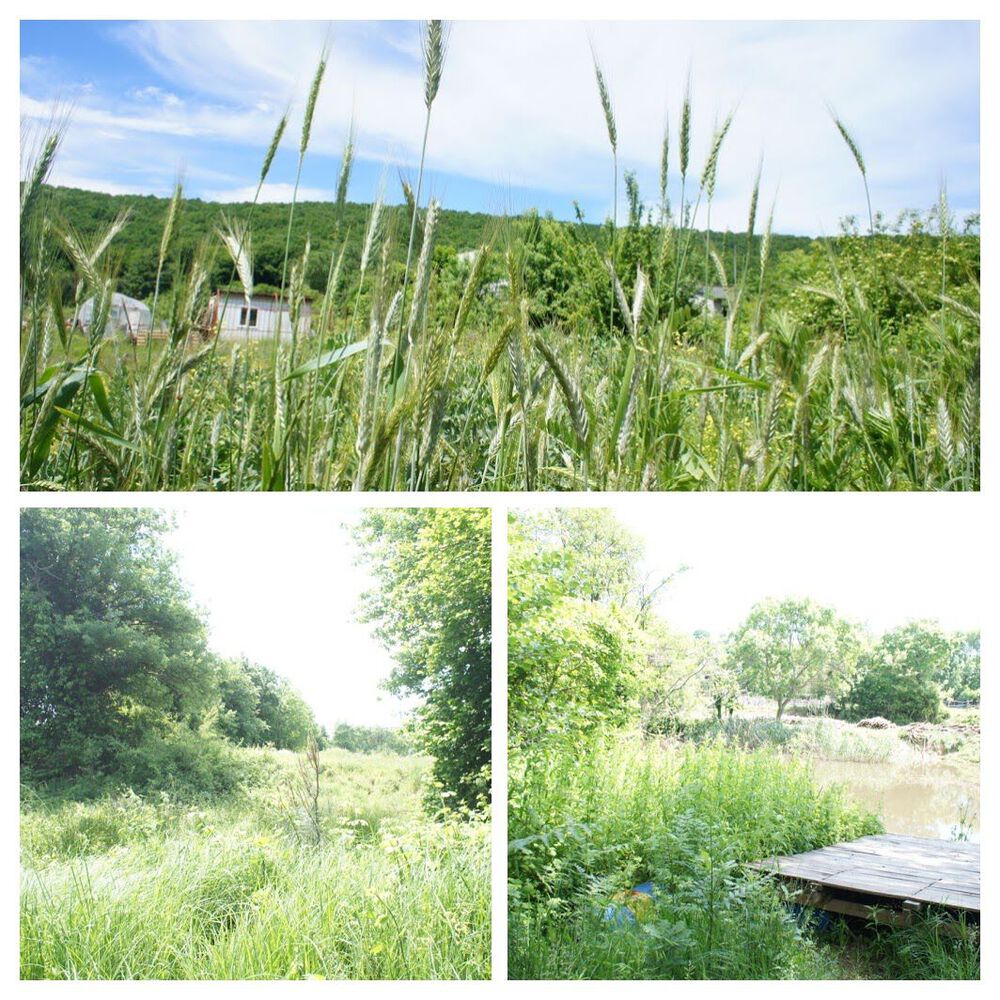 Permakamp, Beykoz, İstanbul