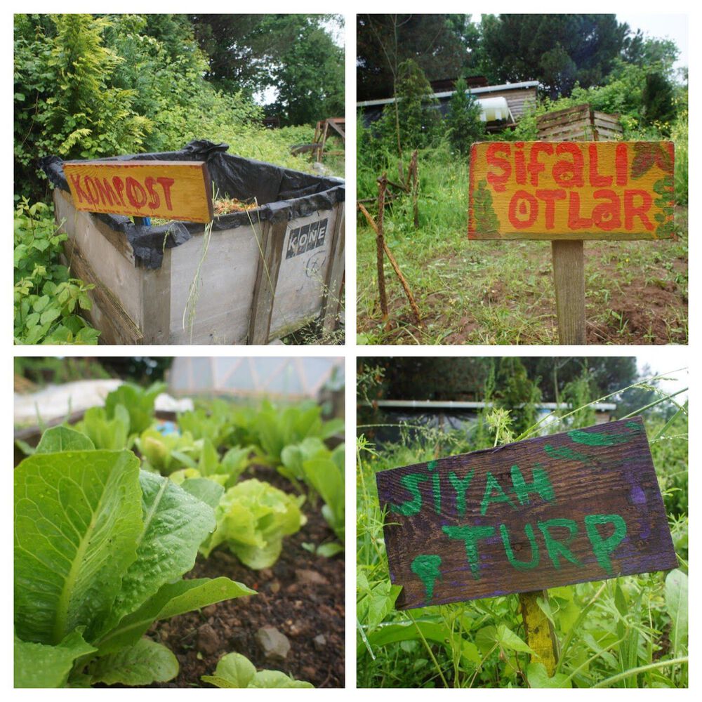 Permakamp, Beykoz, İstanbul