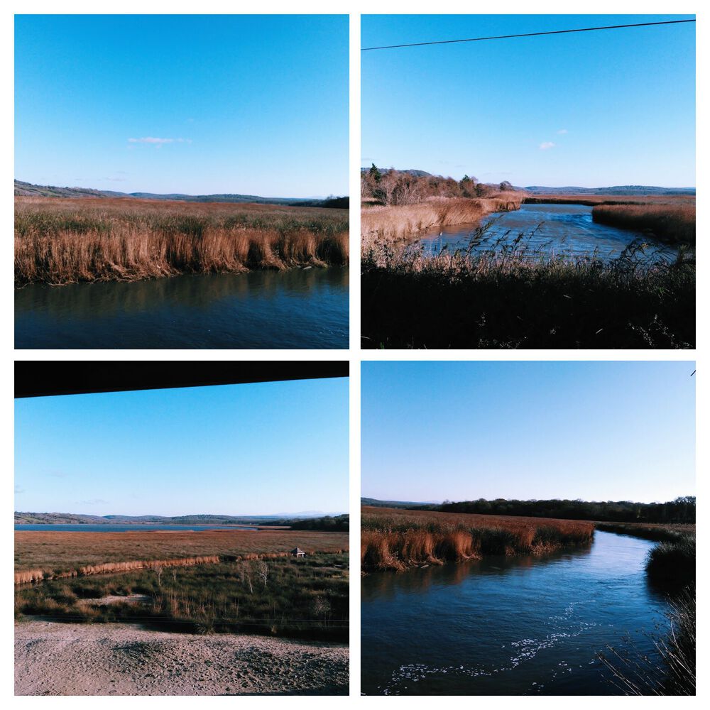 Sinop Merkez – Akliman – Hamsilos – İnceburun – Sarıkum Köyü