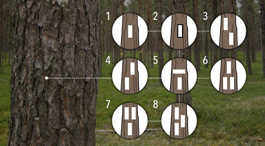 white-trails-trekking