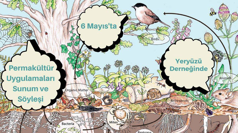 Yeryüzü Derneği, Sunum & Söyleşi: Permakültür Uygulamaları